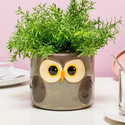 Afbeelding van Dieren Bloempot Uil