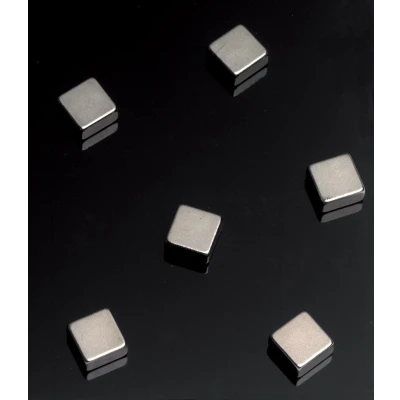 Afbeelding van Naga super sterke magneten voor glasborden, 10 x 5 mm (6 stuks)
