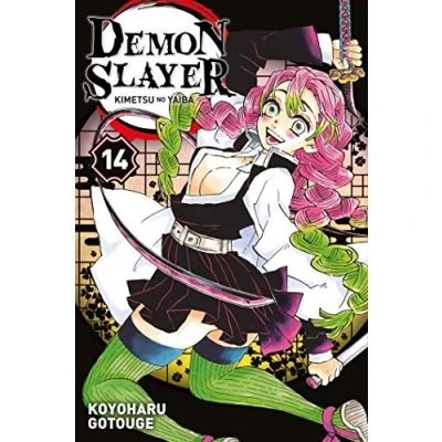Afbeelding van DEMON SLAYER Tome 14