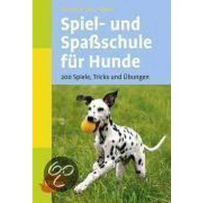Afbeelding van Spiel und Spaßschule für Hunde