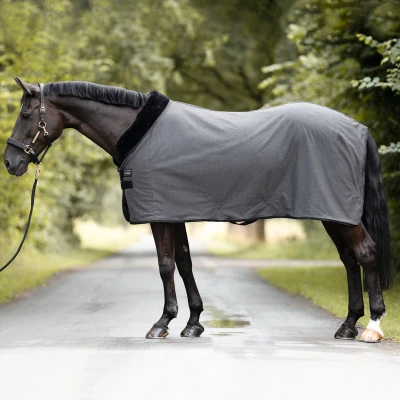 Image de Cavalcade Showrug Elegance