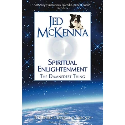 Afbeelding van Spiritual Enlightenment The Damnedest Th