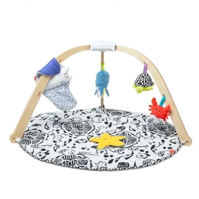 Afbeelding van Play Gym