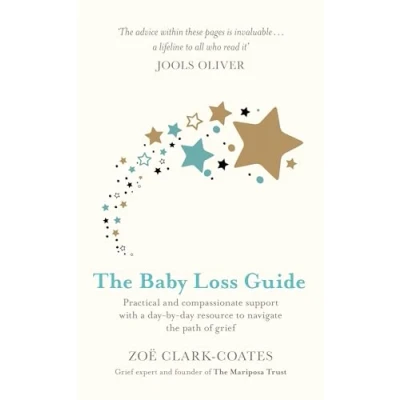 Afbeelding van the Baby Loss Guide Practical and compassionate support with a daybyday resource to navigate path of grief