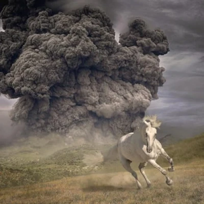Afbeelding van The White Buffalo Year Of Dark Horse (CD)