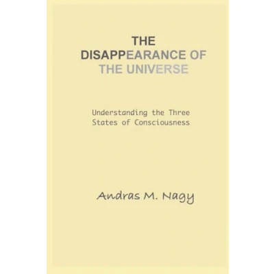 Afbeelding van the Disappearance of Universe