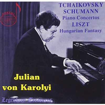 Afbeelding van Piano Concertos Hungarian Fantasy