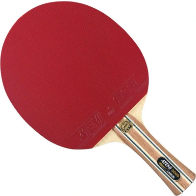 Afbeelding van T.T.Bat ATEMI 3000 Carbon Anatomic ITTF