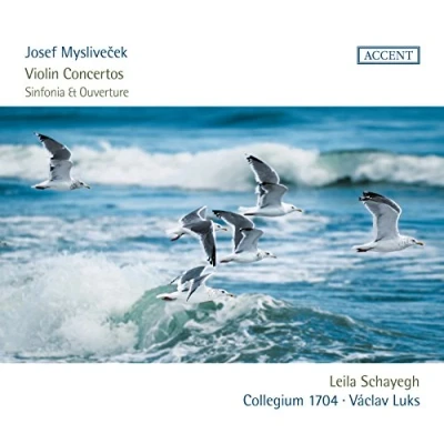 Afbeelding van Leila Schayegh Collegium 1704 &amp; Vaclav Luks Violin Concertos Sinfonia Overture (CD)