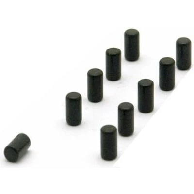 Afbeelding van Trendform Magnet Magnum set van 10 stuks zwart