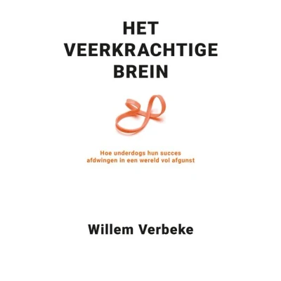 Image de Het veerkrachtige brein