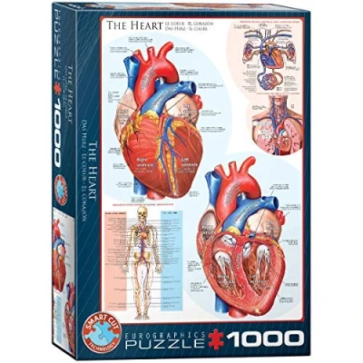 Image de EurographicsPuzzles Science The Heart puzzle 1000 pièces