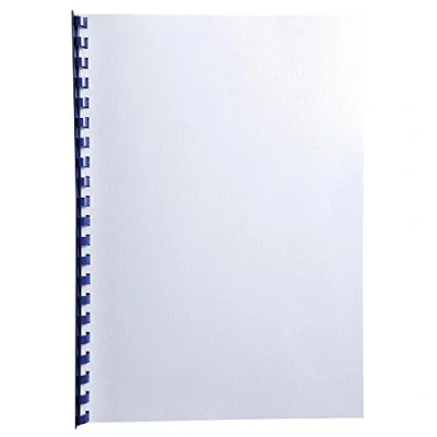 Afbeelding van Exacompta Ref. 2751C 100 deksel Forever van vaste kaart, 21 x 29,7 cm, 270 g, wit