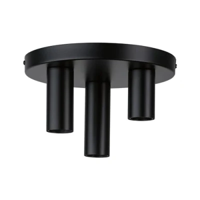 Afbeelding van PAULMANN 79761 Plafondlamp E27 Zwart