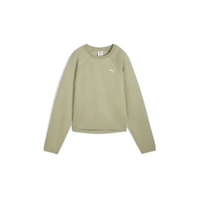 Afbeelding van Puma Evostripe Comfort Sweater, Dames, Maat: Small, Lux army