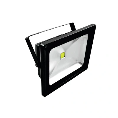 Afbeelding van Eurolite LED IP FL 50 COB Blacklight spot met grote bundel Outdoor IP54