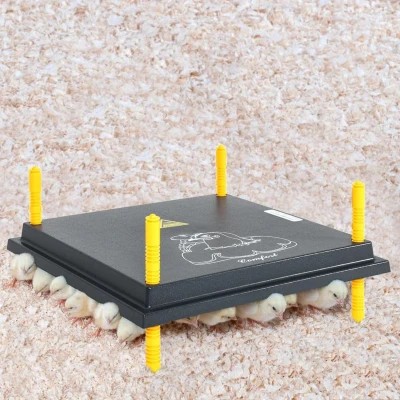 Afbeelding van vidaXL Warmteplaat voor kuikens en eendjes 25x25 cm