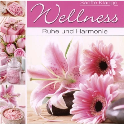Afbeelding van Various Artists Welness Volkommene Harmonie (CD)