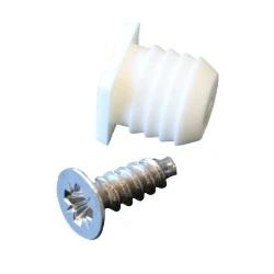 Afbeelding van Plug + schroef M10 (10 stuks)