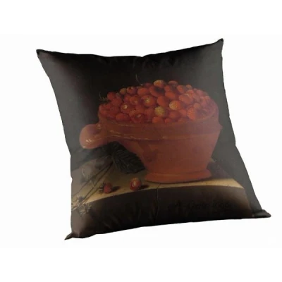 Afbeelding van Madison sierkussen 50x50 cm outdoor Adriaen 1696