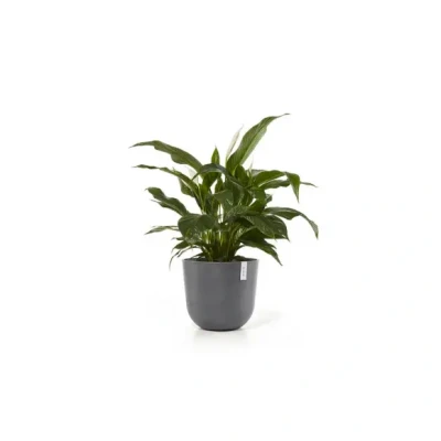 Afbeelding van Ecopots Oslo 45 cm grijs planten/bloembak pot