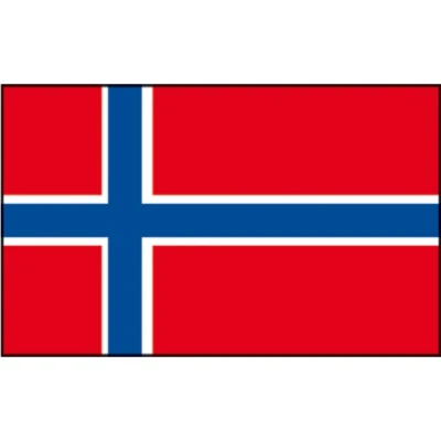 Afbeelding van Silerswaar Noorse Vlag 30x45