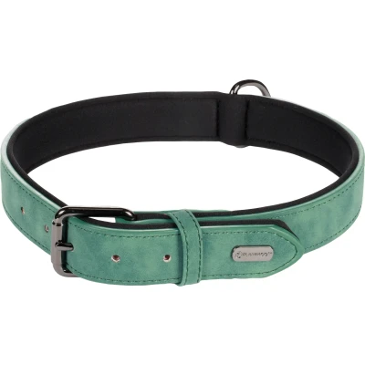Afbeelding van Halsband Delu Groen