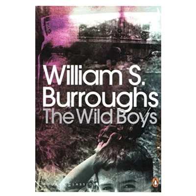 Afbeelding van Wild Boys