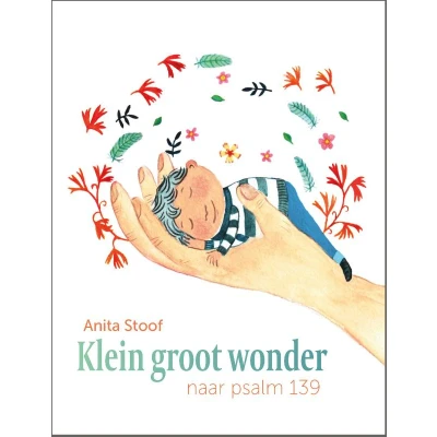 Afbeelding van Klein groot wonder
