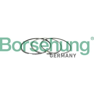 Afbeelding van Borsehung B10366 Zuigerveer
