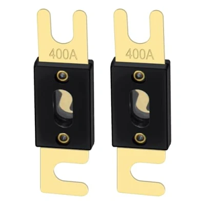 Afbeelding van Heschen Anl FUSE 400 Amp voor auto&#039;s Audiosysteem Blad goud en zwart 2 stuks