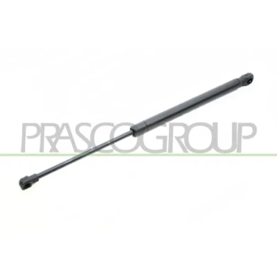 Afbeelding van PRASCO BM1209055 Gasveer achterklep 400 411 Links achter, Rechts achter BMW: 1 Hatchback