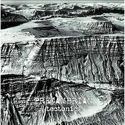 Afbeelding van Precambrian Tectonics