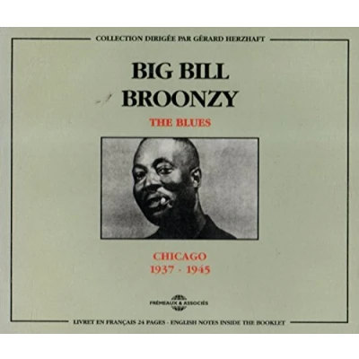 Afbeelding van Big Bill Broonzy The Blues Chicago 1937 1945 (2 CD)