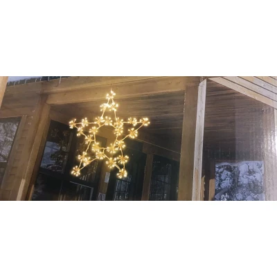 Afbeelding van Kerstster 250 LED 60cm Warm Wit