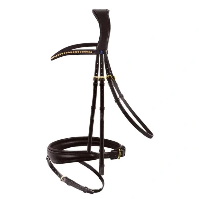 Image de PassierBlu Bridon Spirit Habane/Or XFull