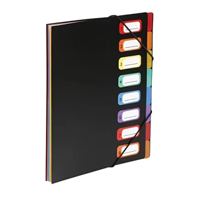 Afbeelding van Viquel Rainbow Class Sorteermap, Ft A4, Met 8 Vakken Sorteermap
