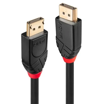 Image de LINDY câble actif displayport 1.2 10m