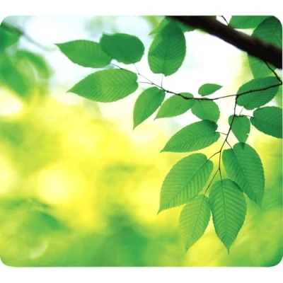 Afbeelding van Muismat Fellowes natuur collectie bladeren
