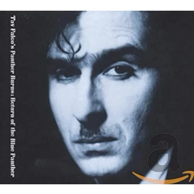 Afbeelding van Tav Falco &amp; The Panther Burns Return Of Blue + Midnight In Memphis (2 CD)