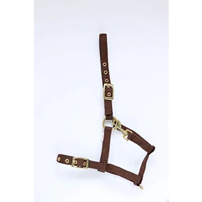 Image de HB Licol pour Poulain Nylon avec Mousqueton Marron