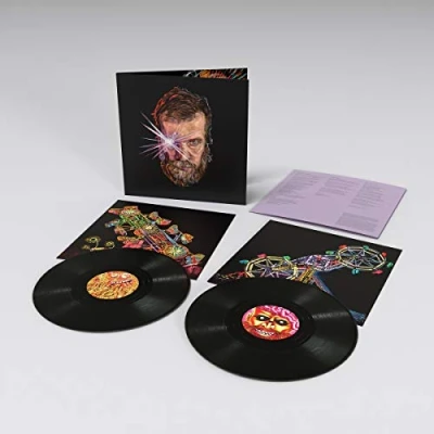 Afbeelding van John Grant Boy From Michigan (2 LPs)