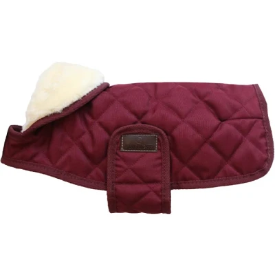 Afbeelding van Kentucky Hondenjas Original Royal Bordeaux 56cm