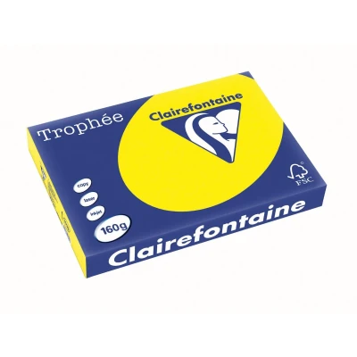 Afbeelding van Clairefontaine Trophée Intens, gekleurd papier, A3, 160 g, 250 vel, zonnegeel