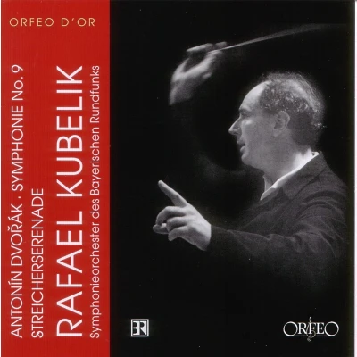 Afbeelding van Symphonieorchester Des Bayerischen Dvorák: Symphonie 9/Streicherserenade (CD)