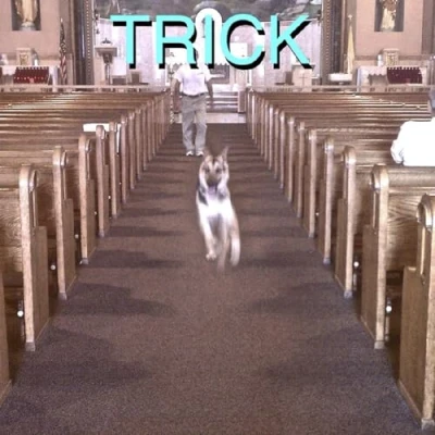 Afbeelding van Alex G Trick (2 LPs)