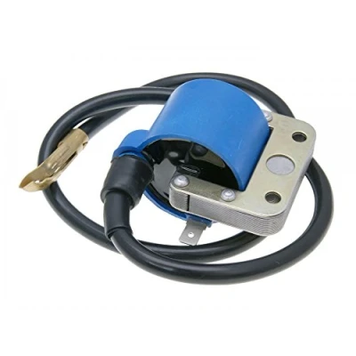Afbeelding van 6 V Bobine voor Ape, Bravo, Boss, Ciao, Grillo, Vespa N, PX, Sprint