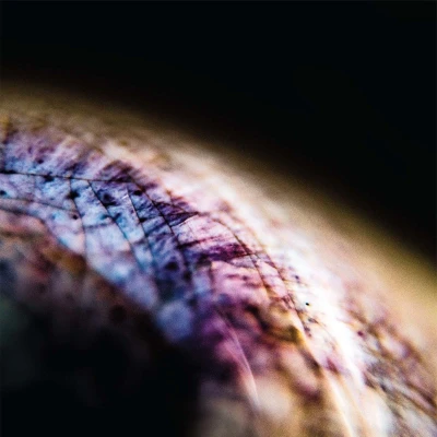 Afbeelding van Emptyset Skin (Single)