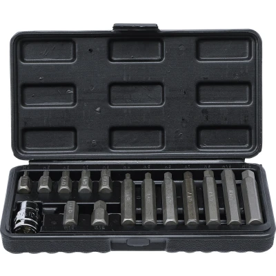 Afbeelding van BGS Bitset 10 mm (3/8&quot;) zeskant 15 delig