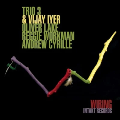 Afbeelding van Vijay Iyer &amp; Trio 3 Wiring (CD)